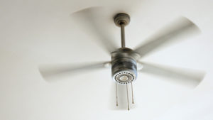 Clean your ceiling fan to reduce the noise. 