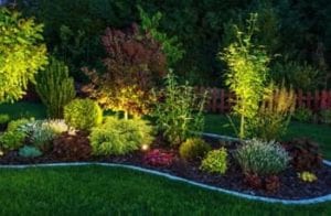 Add a neat touch to your landscape with accent lighting.
